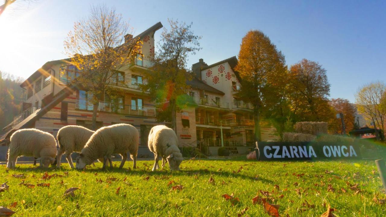 Hotel Piwniczna Spa&Conference Buitenkant foto